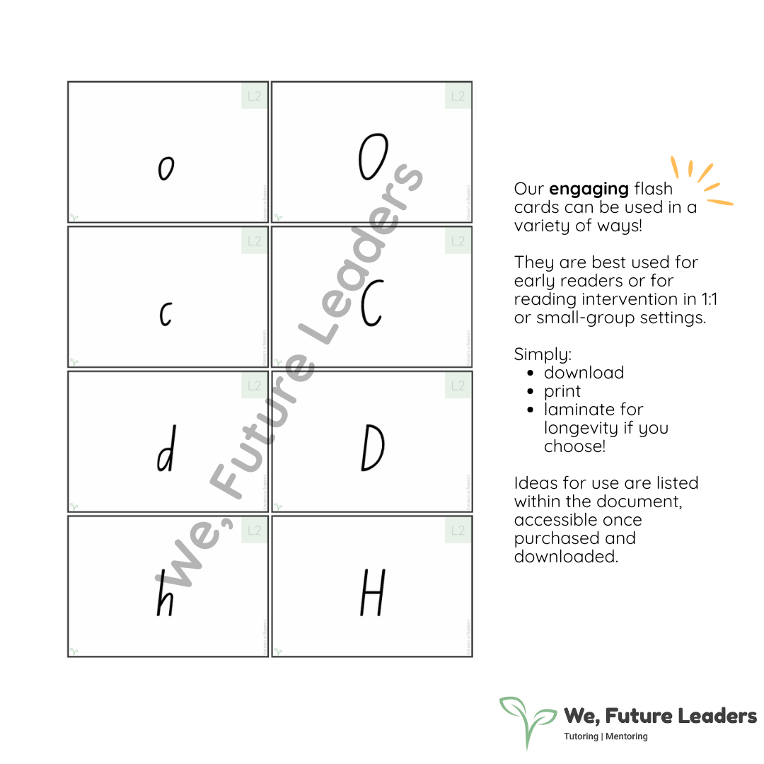 Level 2 Sound & Word Flash Cards