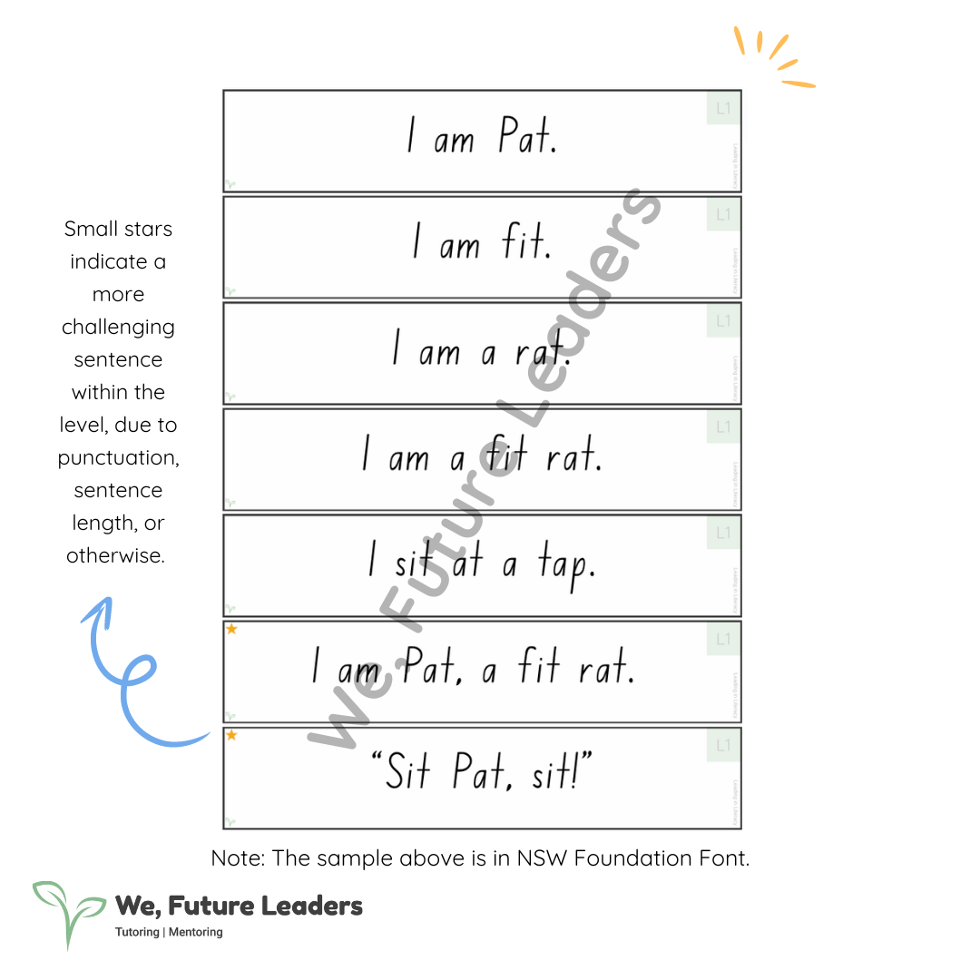 Level 2 Sentence Strips