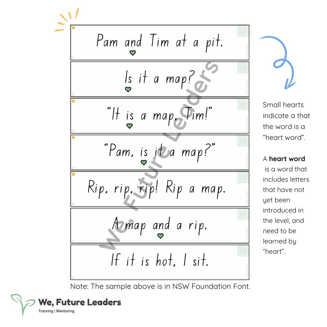 Level 2 Sentence Strips