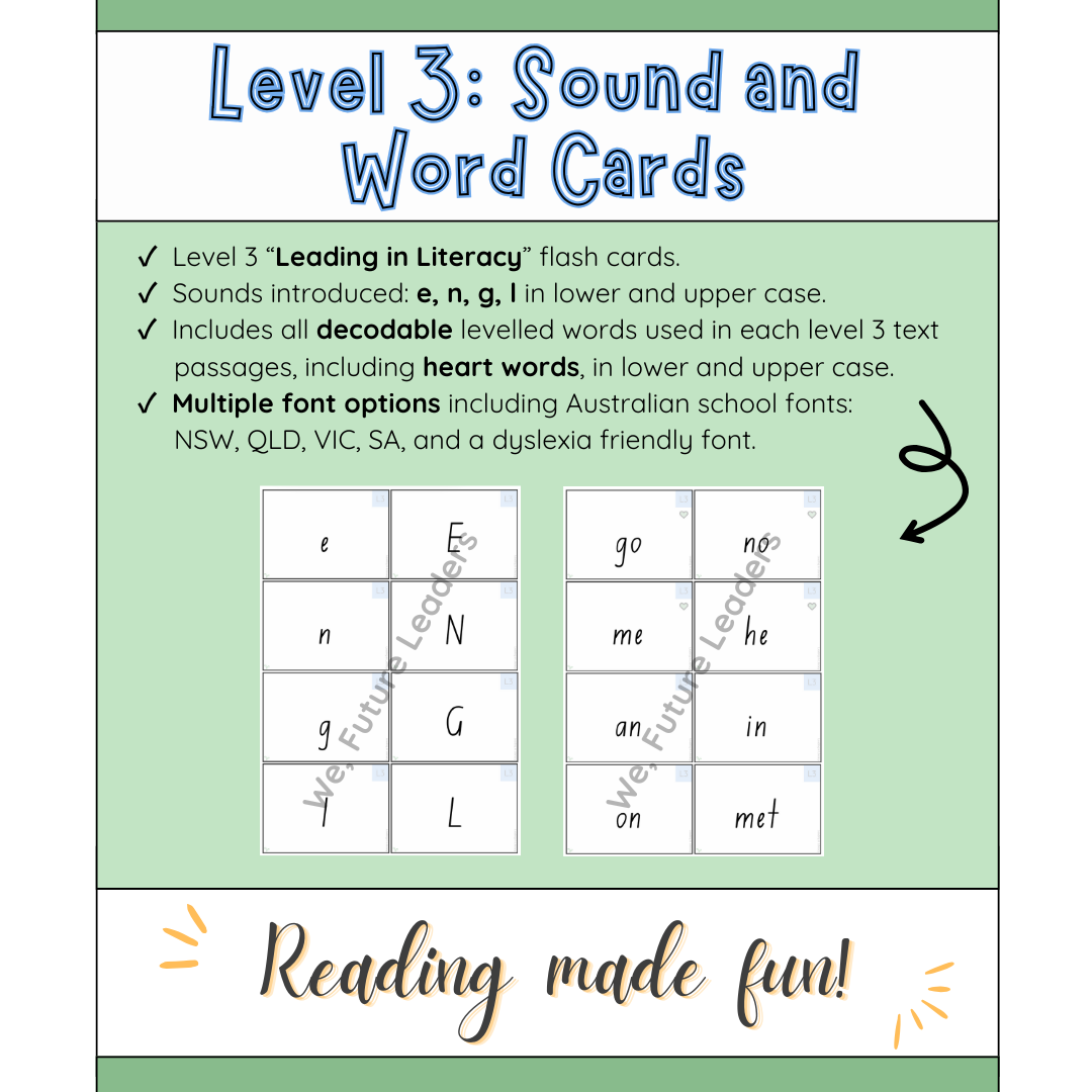Level 3 Sound & Word Flash Cards