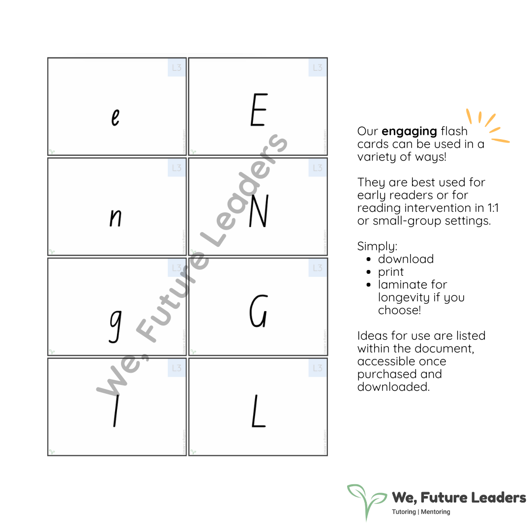 Level 3 Sound & Word Flash Cards