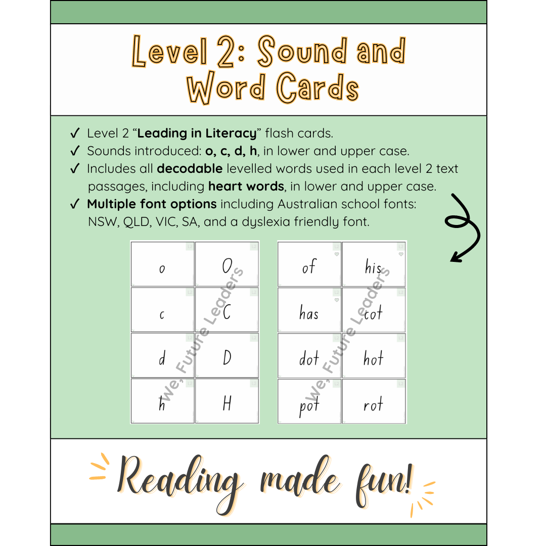 Level 2 Sound & Word Flash Cards